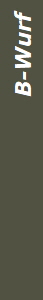 B-Wurf
